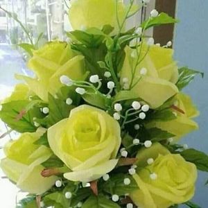 Meet your Posher, Van